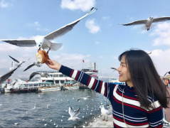 一根藤上七朵花！MBA和他的六個小兄弟