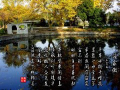南京林業(yè)大學2018工商管理碩士MBA調(diào)劑通知